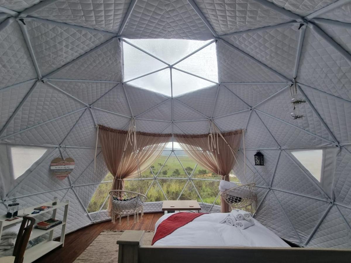 Hotel Pom Gratz - Ecodomes Hartebeesrivier Exterior foto